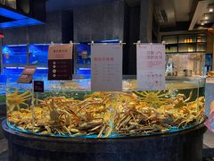 水产区-徐记海鲜(梅溪新天地店)