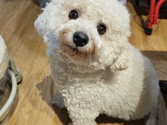 -小时光咖啡馆(开森度假森林店)