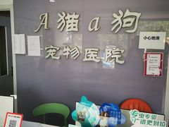 -A猫a狗全科·犬猫异宠·芥西宠物医院(南开总院)