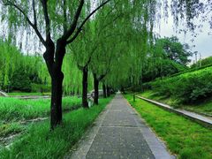 -元大都城垣遗址公园