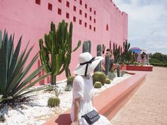 -漳州滨海火山岛自然生态风景区