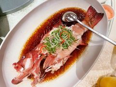 三丝豉油蒸东星斑-彩丰楼中餐厅(佘山世茂洲际酒店)