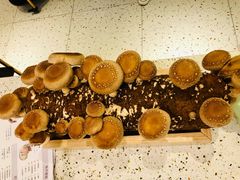 鲜活菌菇棒-椰子营·椰子鸡火锅(万象里店)