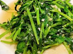 清炒豌豆苗-不相离盐帮菜(郎园店)