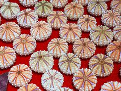 -摩登百货(岗顶店)