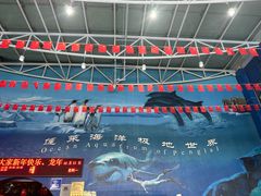 -蓬莱欧乐堡海洋极地世界