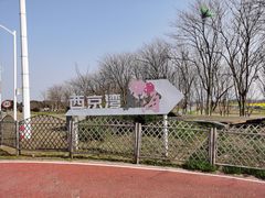 -西京湾花海