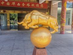 -华西村