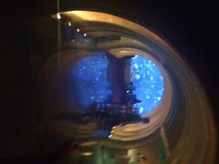 iphone_upload_pic-迪拜帆船酒店海底餐厅