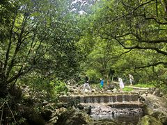 -东天目山风景区