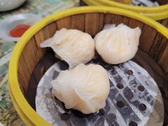 -榕槟茶楼