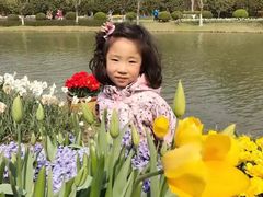 -上海鲜花港