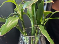 -时间仓(月湖公园店)