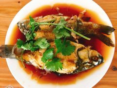 -爱月宝月嫂·育儿嫂(哈尔滨总店)