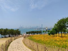 -小麦岛公园