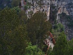 -神农山景区