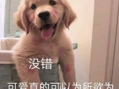 -梓砂锅(崇文路店)