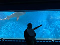 -北戴河圣蓝海洋公园