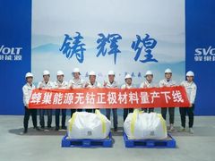 -蜂巢能源科技（无锡）有限公司