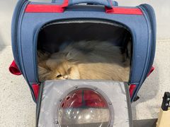 -伟伟宠物医院·CT影像中心·瑞派犬猫综合性门诊(汉口总院)