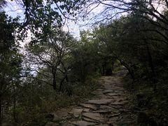 -阳台山自然风景区