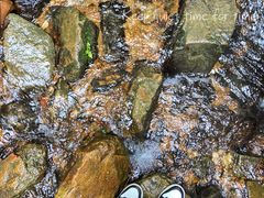 -梧桐山风景名胜区