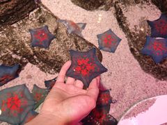 -沈阳海洋探索中心