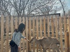 -水上乐园·欢乐世界