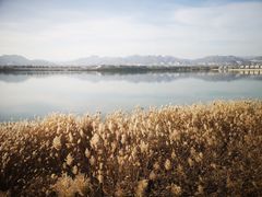 -青龙湖公园
