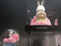 -ROSEONLY诺誓(广州K11店)