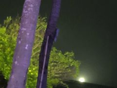 -亚龙湾喜来登·美景台大堂吧