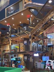 -卡通尼·Safari非洲探索乐园·生日会(金桥国际商业广场店)