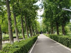 -洋湖国家湿地公园