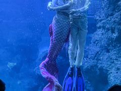 -左海海底世界