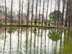 -东湖磨山景区