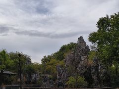 -粤晖园