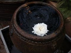 景观位-悦哉·派对·草坪婚礼·围炉煮茶(三圣乡店)