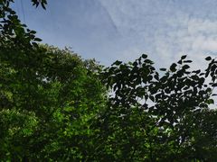 -南山植物园