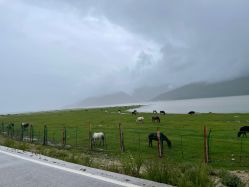 -纳帕海依拉草原