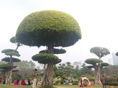 -南宁南湖公园