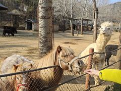 -大连森林动物园