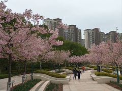 -新江湾城公园