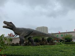 -陕西自然博物馆