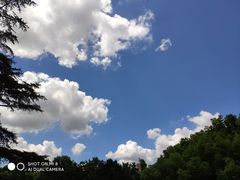 -御花园·粤菜·海鲜火锅(中山公园店)