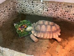 -上海大自然野生昆虫馆