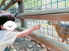 -苏州太湖西山岛开心农场