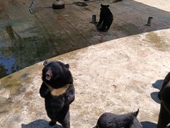 -西安秦岭野生动物园