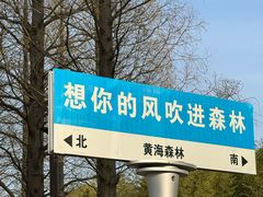 -黄海国家森林公园