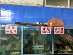 -勒南公舍(龙江店)