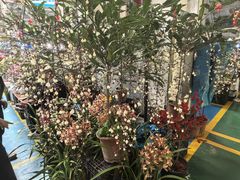 -威尔佳·创意陕菜融合菜(老城根红庙坡地铁站店)
